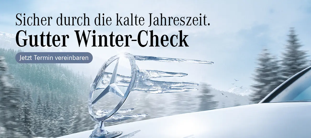 Winter-Check
